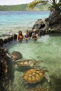 St Thomas Shore Excursion: Coral World Ocean Park...