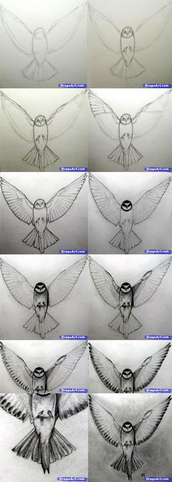 How to Draw A Realistic Bird