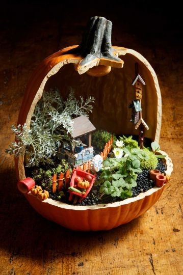 Fairy Garden made in a cut-away paper mache pumpki...