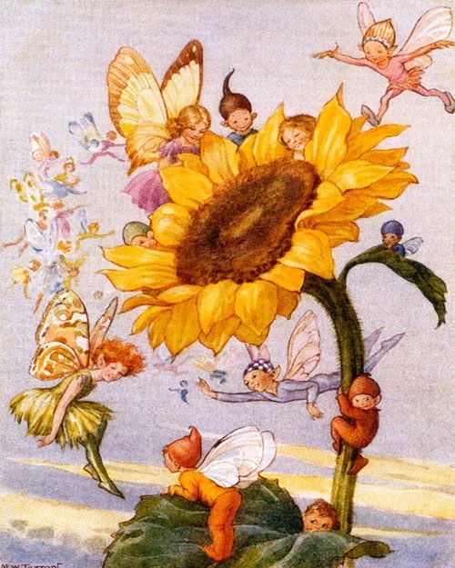 Margaret W. Tarrant "Sunflower Fairies"- English I...