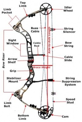 Compound bow. I think these are cheating unless hu...