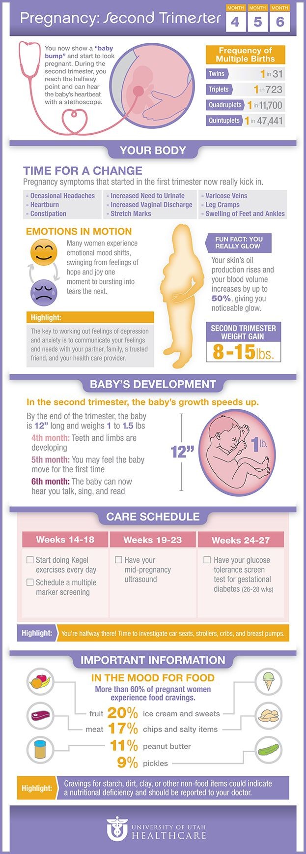 Facts about the second trimester of pregnancy | Un...