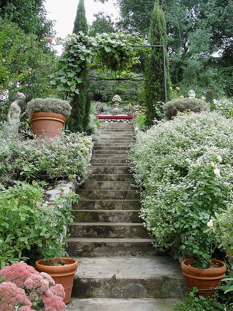 Lovely stone garden steps