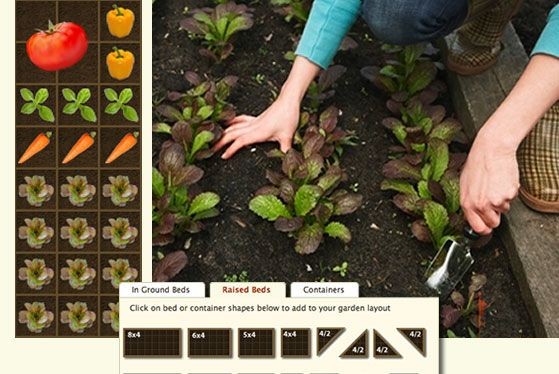 Smart Gardener - best garden planning app I've see...