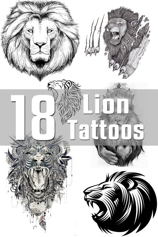 18 Lion Tattoo Designs | The Body is a Canvas