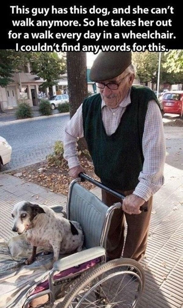 This elderly gentleman goes above and beyond for h...