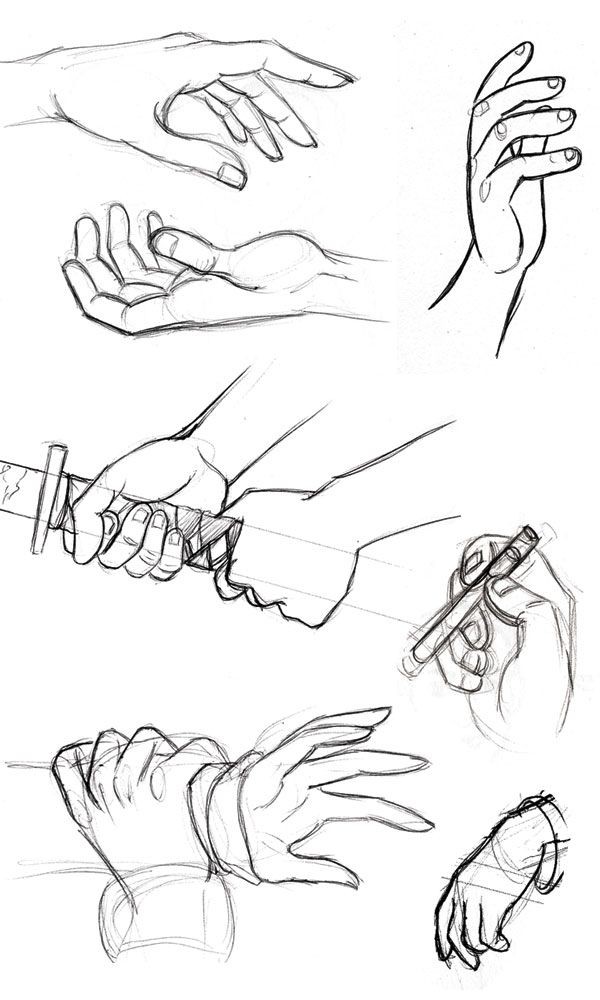 Human Anatomy Fundamentals: How to Draw Hands - Tu...