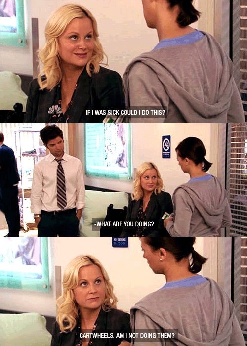 Parks and Recreation just might be the greatest sh...