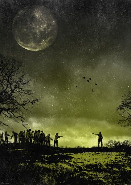 The Walking Dead Posters - Created by Rany Atlan