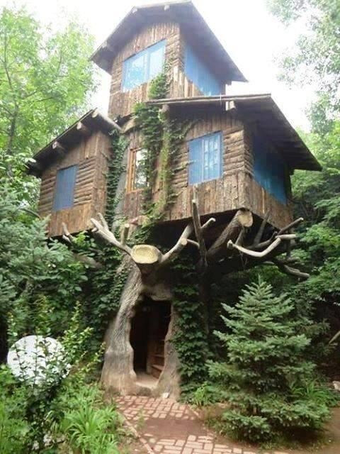 ۩ ❁✿ Tree House Ideas ❀...
