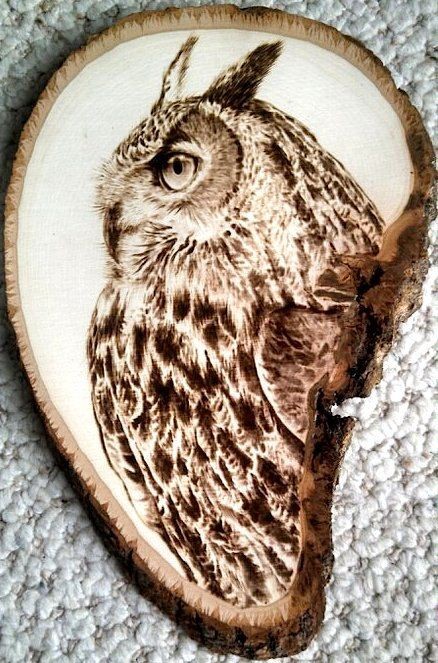 Hand-Made Owl Woodburn on Bark-Rimmed Basswood