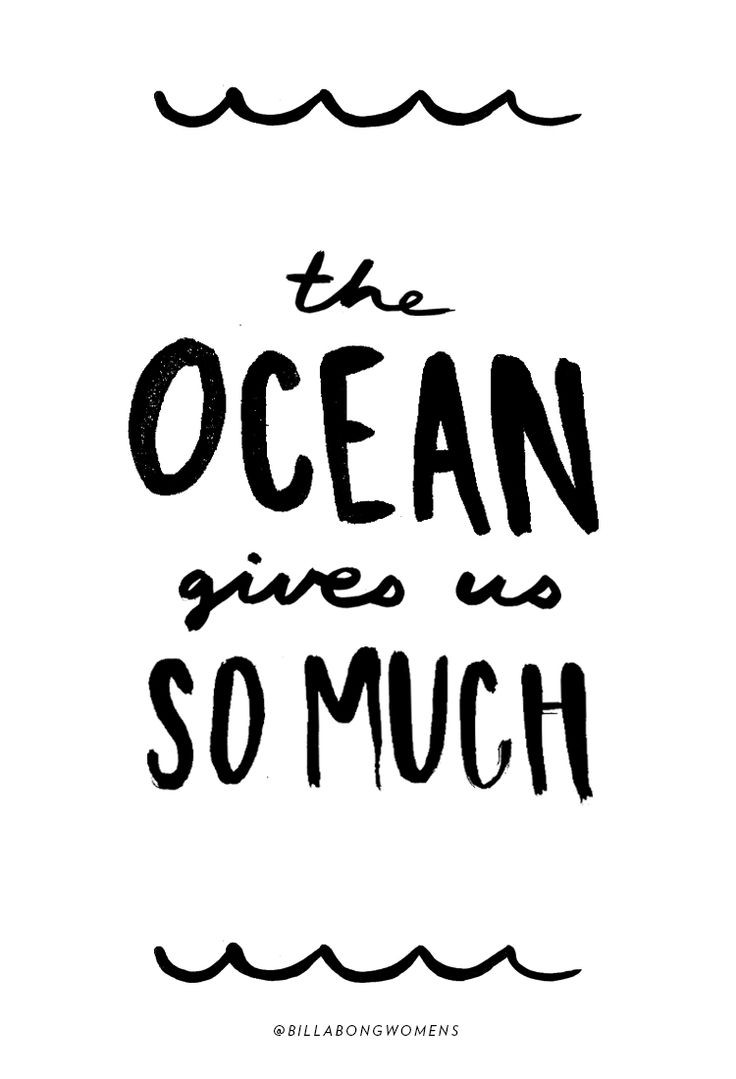 the ocean gives us so much