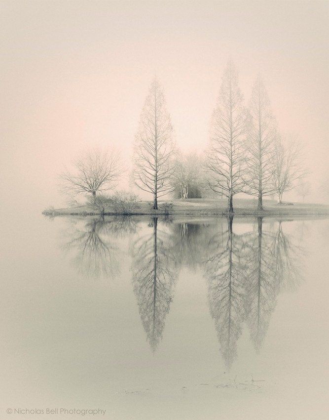 landscape photography, monochromatic, nature, fog,...