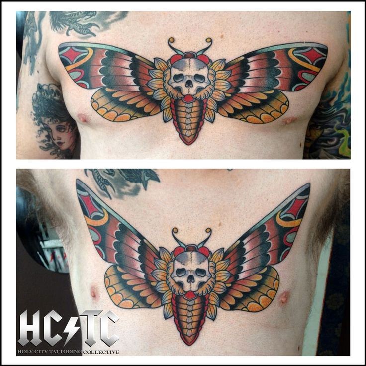 awesome Organically Animated Death's-Head Hawkmoth...