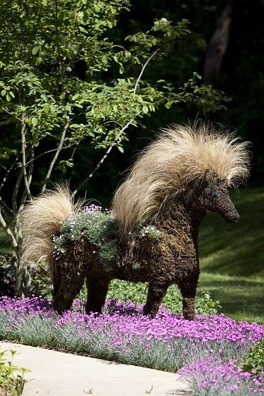 Topiary Horse- so much better than the one I made!...