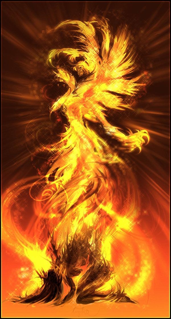 18 Phoenix Artworks : The Flaming Bird | Design In...