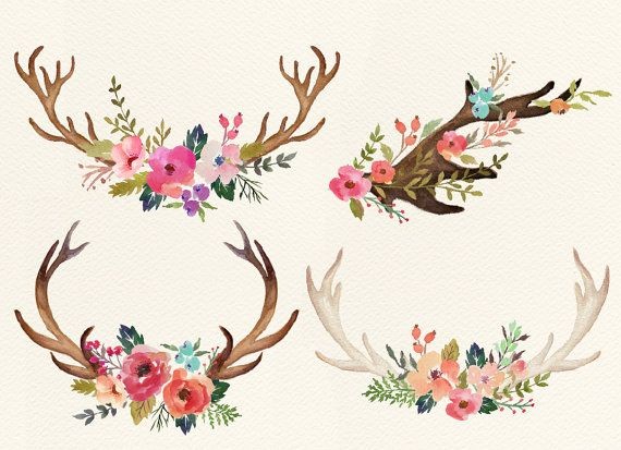 Watercolor flowers with deer horn by GraphicSafari...