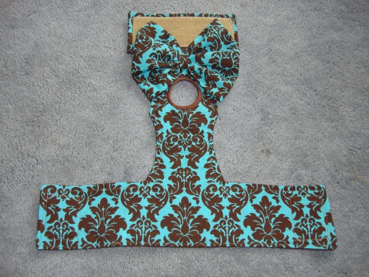 Female Dog Diaper - Teal and Brown Damask Pattern...