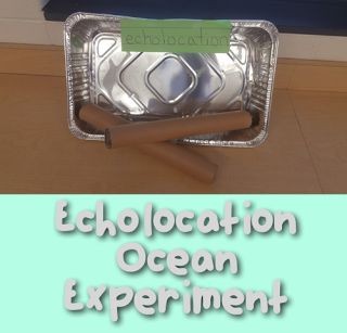 Fun and EASY ocean experiment for kinders. Perfect...