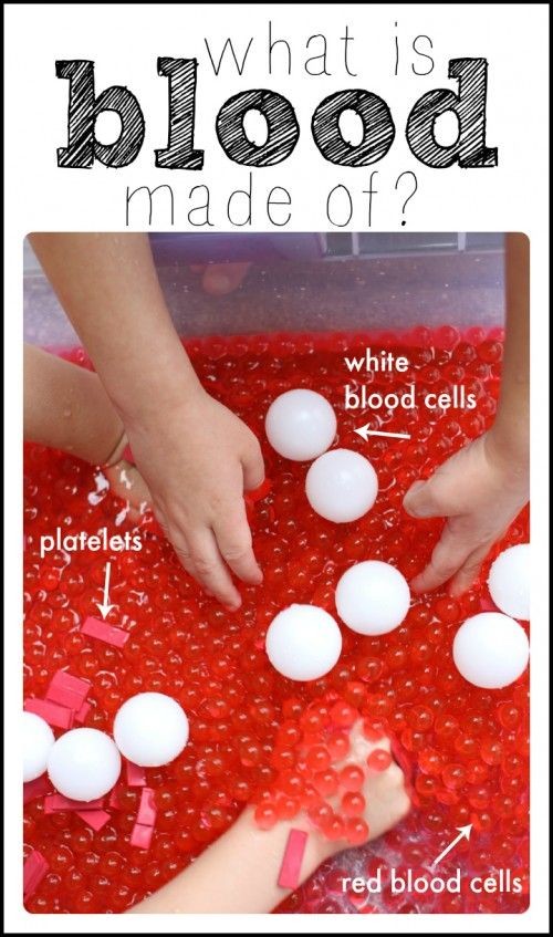 What is blood made of  A hands-on science demonstr...