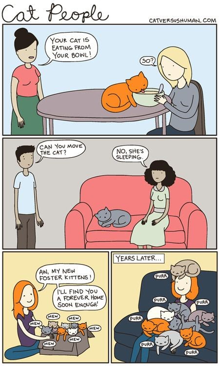 What Cat People Sound Like To Their Friends