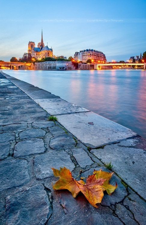 Notre Dame, Paris