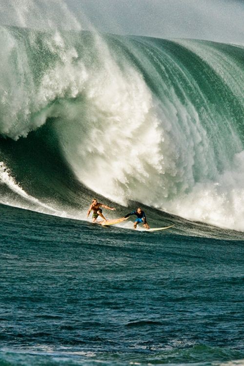 shit that's big! surf