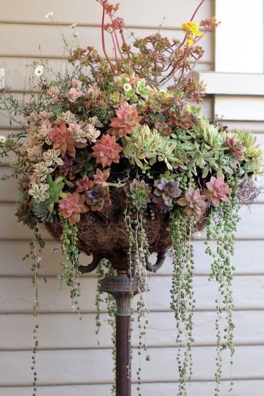 Use an old lamp base and hanging planter basket to...