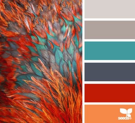 feathered hues - design seeds