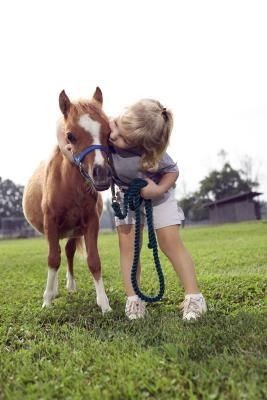 Facts on Miniature Horses
