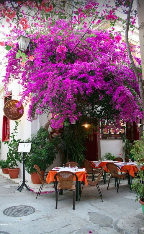 Taverna in Nafplio on the Peloponnese peninsula of...