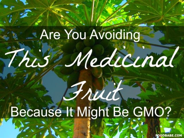 Are You Avoiding Papaya Because It Might Be GMO?...