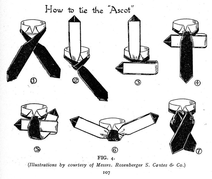 A request for a pattern of an Ascot tie - The Outf...