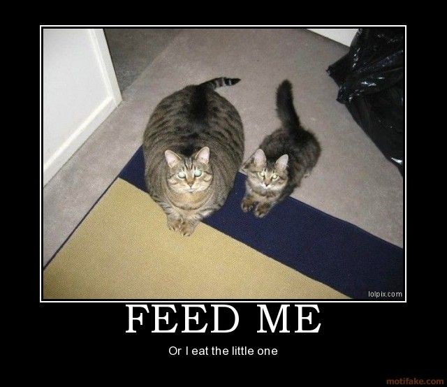 feed me!