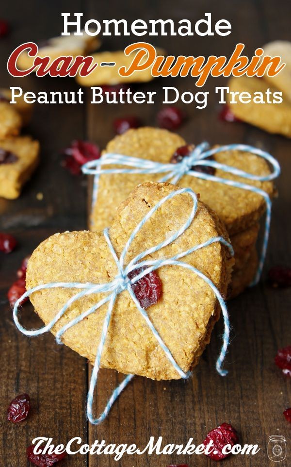 Cran-Pumpkin Peanut Butter Oatmeal Homemade Dog Tr...