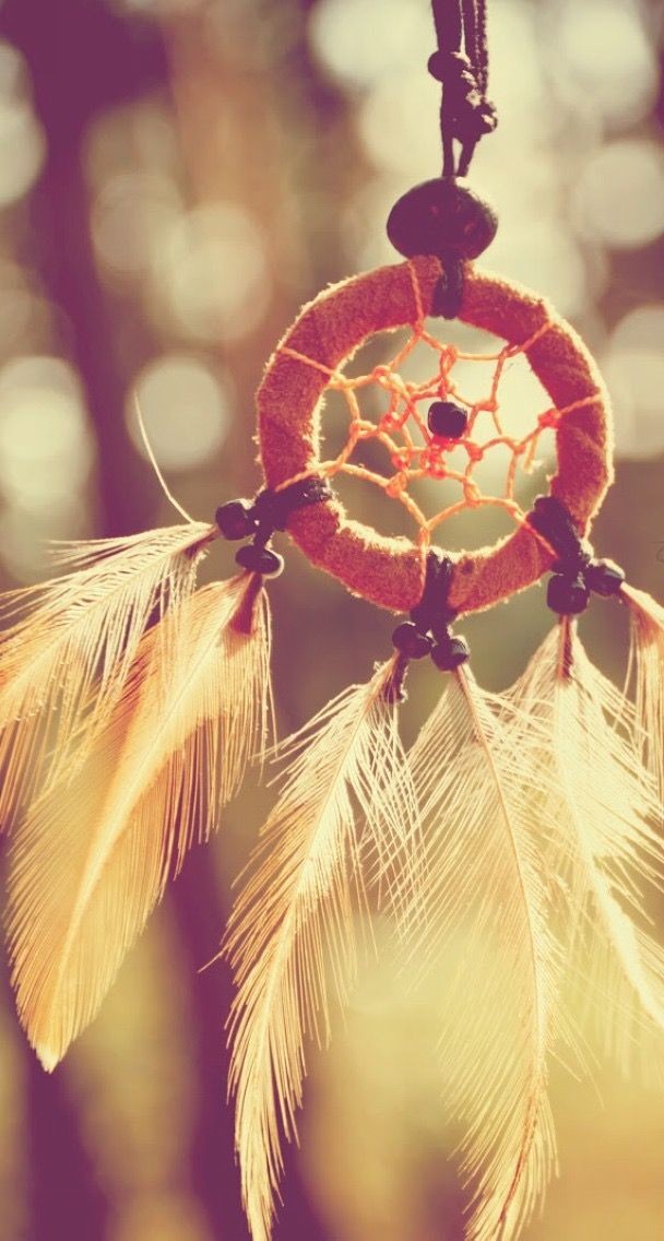 Dreamcatcher Feathers Closeup iPhone 6 Plus HD Wal...