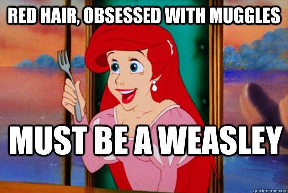 red hair obsessed with muggles must be a weasley -...