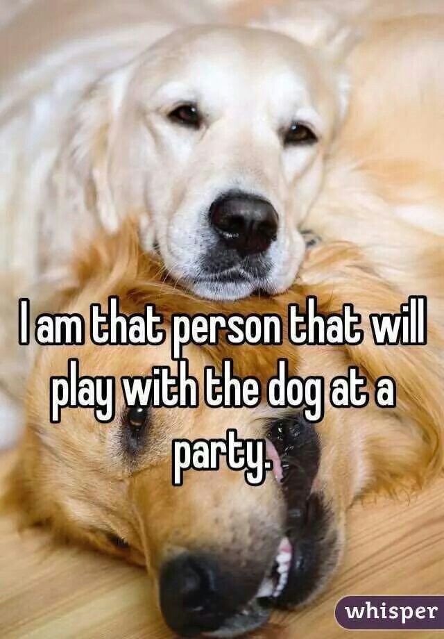 I'm that person that will play with the dog at the...