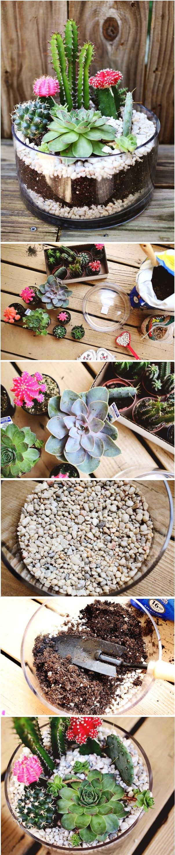 DIY Cactus Garden Idea. Perfect for my growing bab...