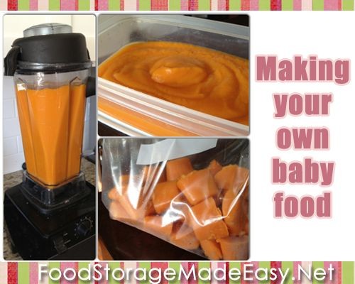 Saving Money: How To Make Baby Food  {{this was a...