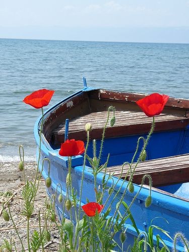blue boat with orange poppies