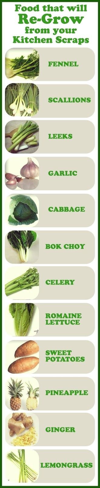 Foods That Will Re-Grow From Your Kitchen Scraps P...