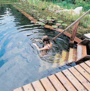 natural pools are home to frogs, water striders, a...