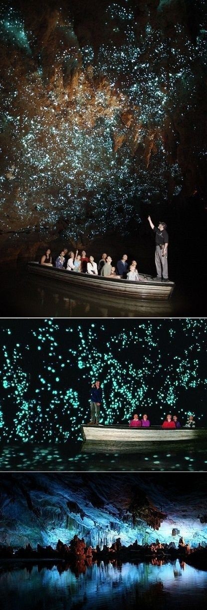 17 Places Worth All Your Vacation Days: Glow worm...