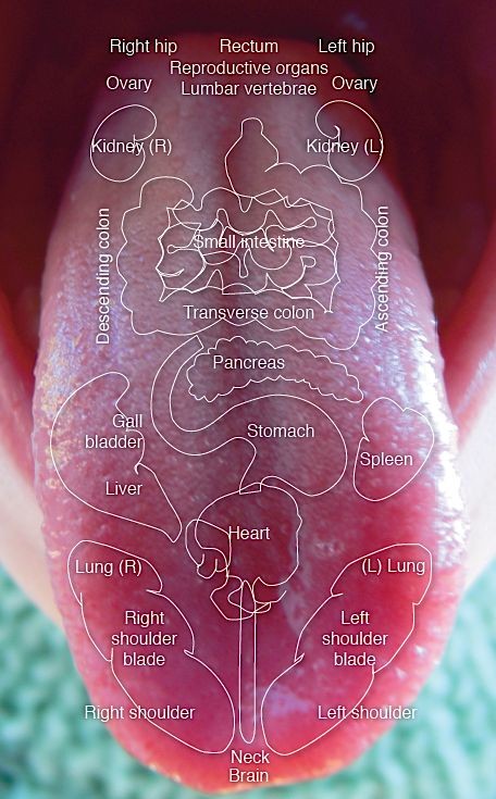 http://www.ayurvedaelements.com/resources/Tongue-Z...