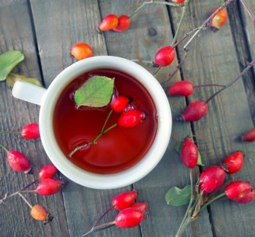 how to grow, harvest and use rose hips
