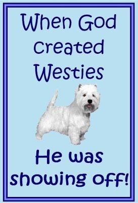 funny westie pictures | so true so perfect