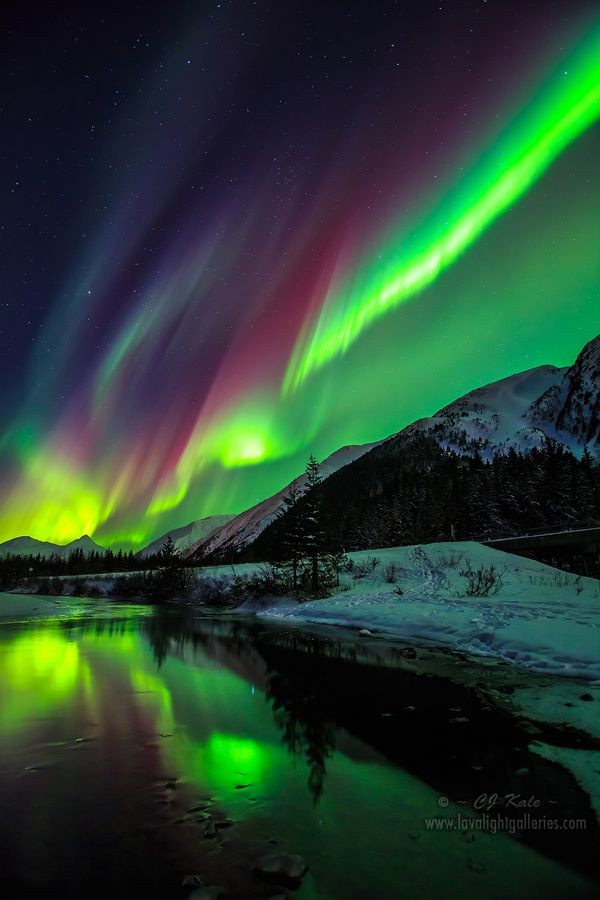 ~~The Force ~ Northern Lights, Alaska by Cj Kale~~