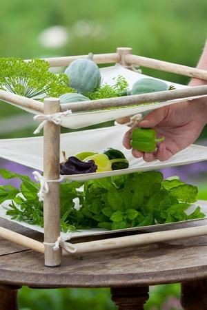 What a simple, yet  lovely, rack for drying herbs...