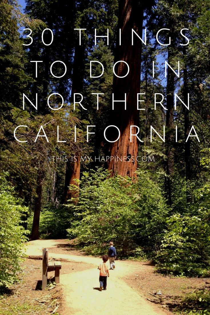 30 things to do in Northern CA from the Bay Area t...